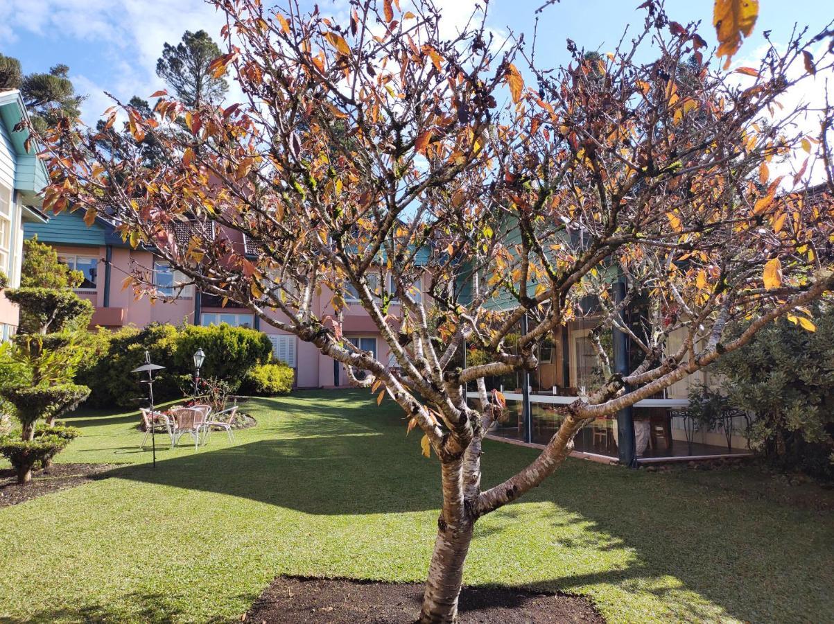 Agradavel Apt 2Quartos Para Familia Prox Ao Lago Negro - 4 Min Do Centro- Com Churrasqueira Gramado Exteriér fotografie
